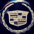 1150304_601003319922305_1975693282_s2