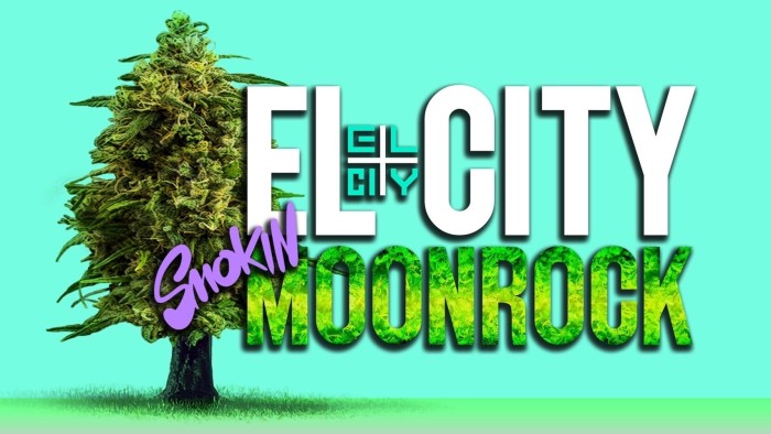 272837487_3136587613231559_2111847198406066625_n